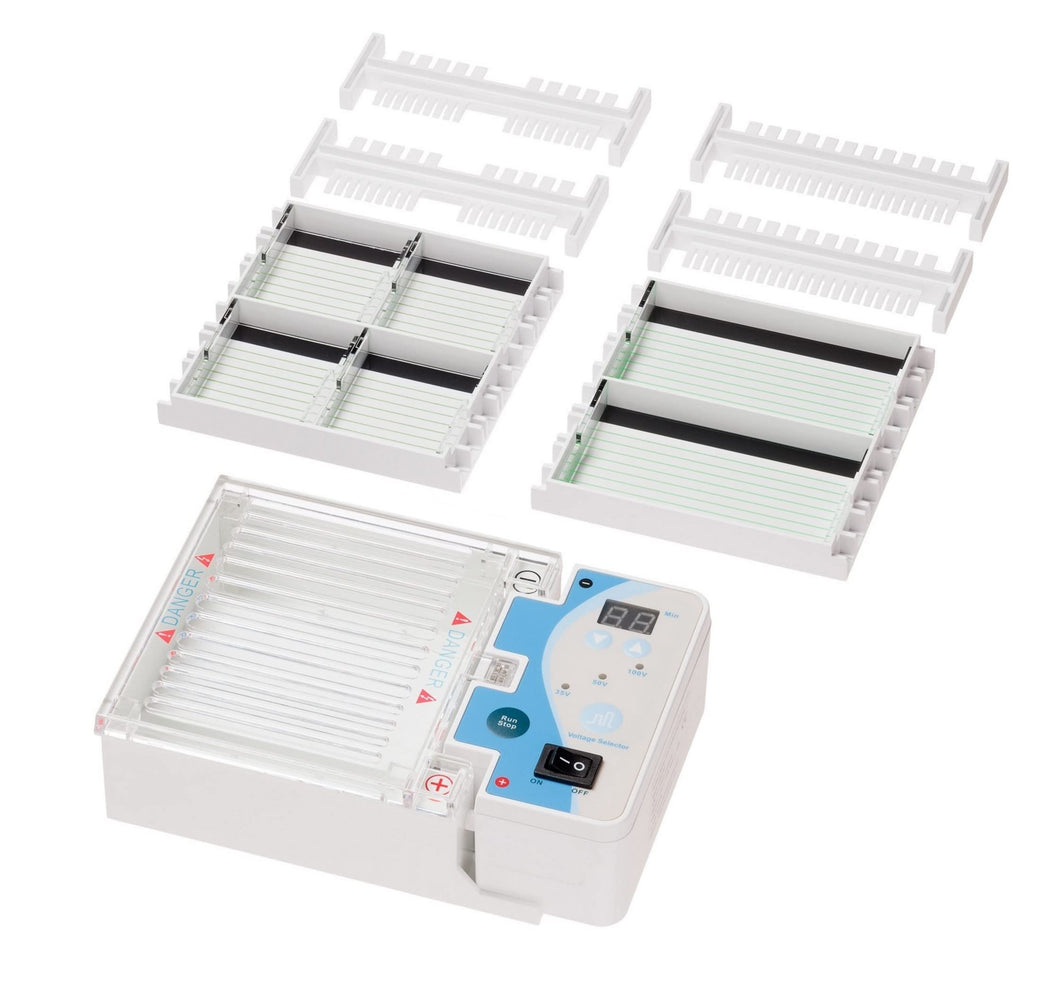 Mini Gel Electrophoresis System, with Power Supply and Timer